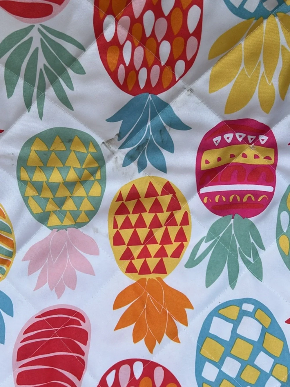 Pineapple print picnic outdoor blanket
